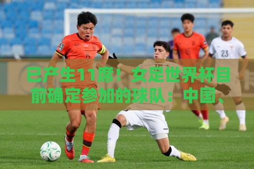已产生11席!女足世界杯目前确定参加的球队:中国、阿根廷在列 已产生11席!女足世界杯目前确定参加的球队:中国、阿根廷在列