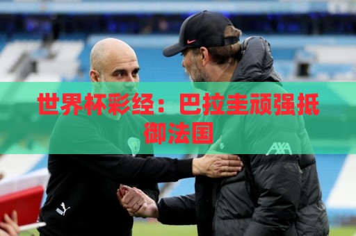 世界杯彩经:巴拉圭顽强抵御法国 世界杯彩经:巴拉圭顽强抵御法国