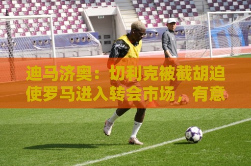 迪马济奥:切利克被截胡迫使罗马进入转会市场,有意莫利纳、多多 迪马济奥:切利克被截胡迫使罗马进入转会市场,有意莫利纳、多多