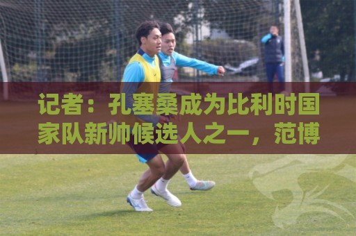 记者：孔塞桑成为比利时国家队新帅候选人之一，范博梅尔也在列