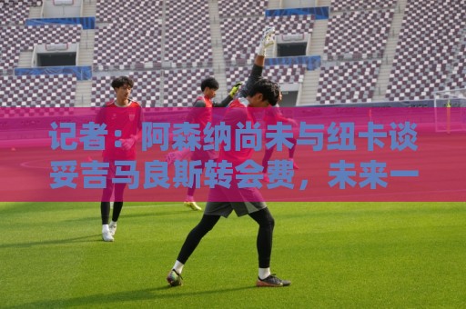 记者：阿森纳尚未与纽卡谈妥吉马良斯转会费，未来一周是关键时期