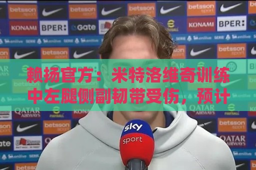 赖扬官方:米特洛维奇训练中左腿侧副韧带受伤,预计伤缺2到3个月 赖扬官方:米特洛维奇训练中左腿侧副韧带受伤,预计伤缺2到3个月