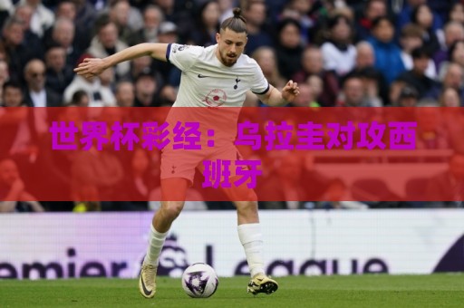 世界杯彩经:乌拉圭对攻西班牙 世界杯彩经:乌拉圭对攻西班牙