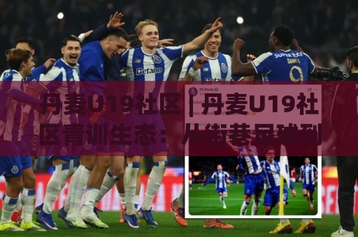 丹麦U19社区 | 丹麦U19社区青训生态：从街巷足球到北欧童话的成长路径🔱线上十大最稳体球网评级时间推荐直播源不卡顿在线观看