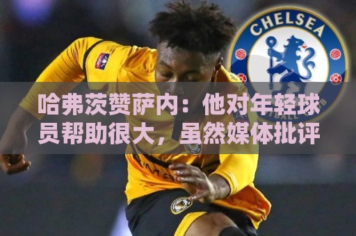 哈弗茨赞萨内:他对年轻球员帮助很大,虽然媒体批评他但他是顶级 哈弗茨赞萨内:他对年轻球员帮助很大,虽然媒体批评他但他是顶级