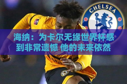 海纳：为卡尔无缘世界杯感到非常遗憾 他的未来依然无比广阔